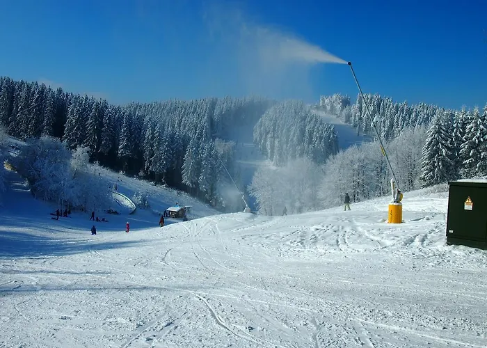 Rothaarnest ווינטרברג